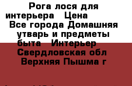 Рога лося для интерьера › Цена ­ 3 300 - Все города Домашняя утварь и предметы быта » Интерьер   . Свердловская обл.,Верхняя Пышма г.